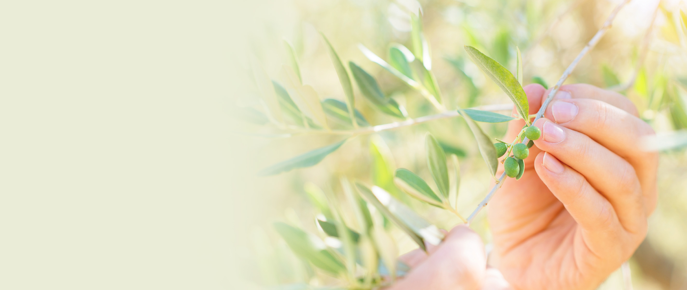 環境配慮への取り組み