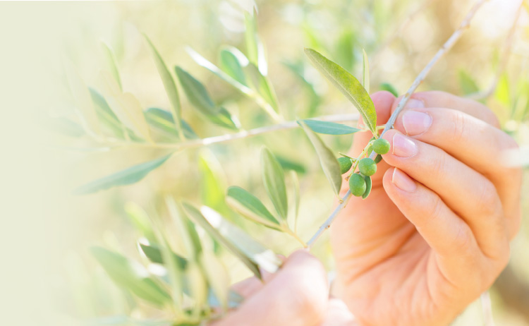 環境配慮への取り組み